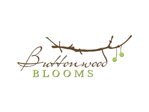 Buttonwood Blooms